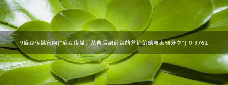 麻豆传媒直播官网一:9麻豆传媒官网(\
