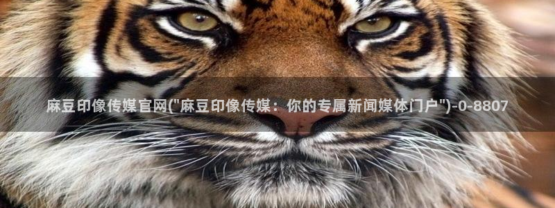 麻豆传媒公司官网:麻豆印像传媒官网(\